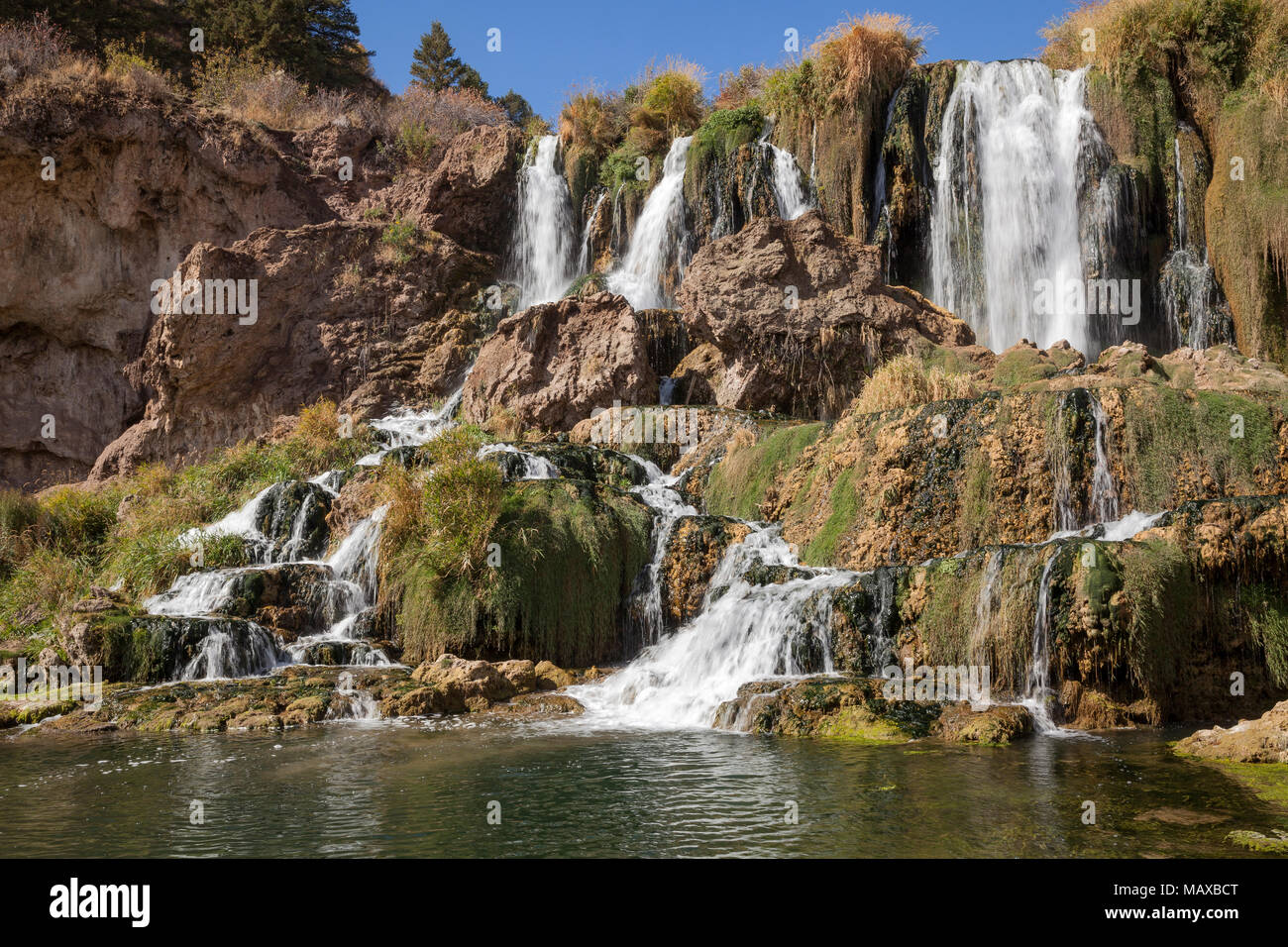 ID 00760-00 ... IDAHO - Falls Creek falls flowes in der Snake River entlang des Swan Valley. Stockfoto