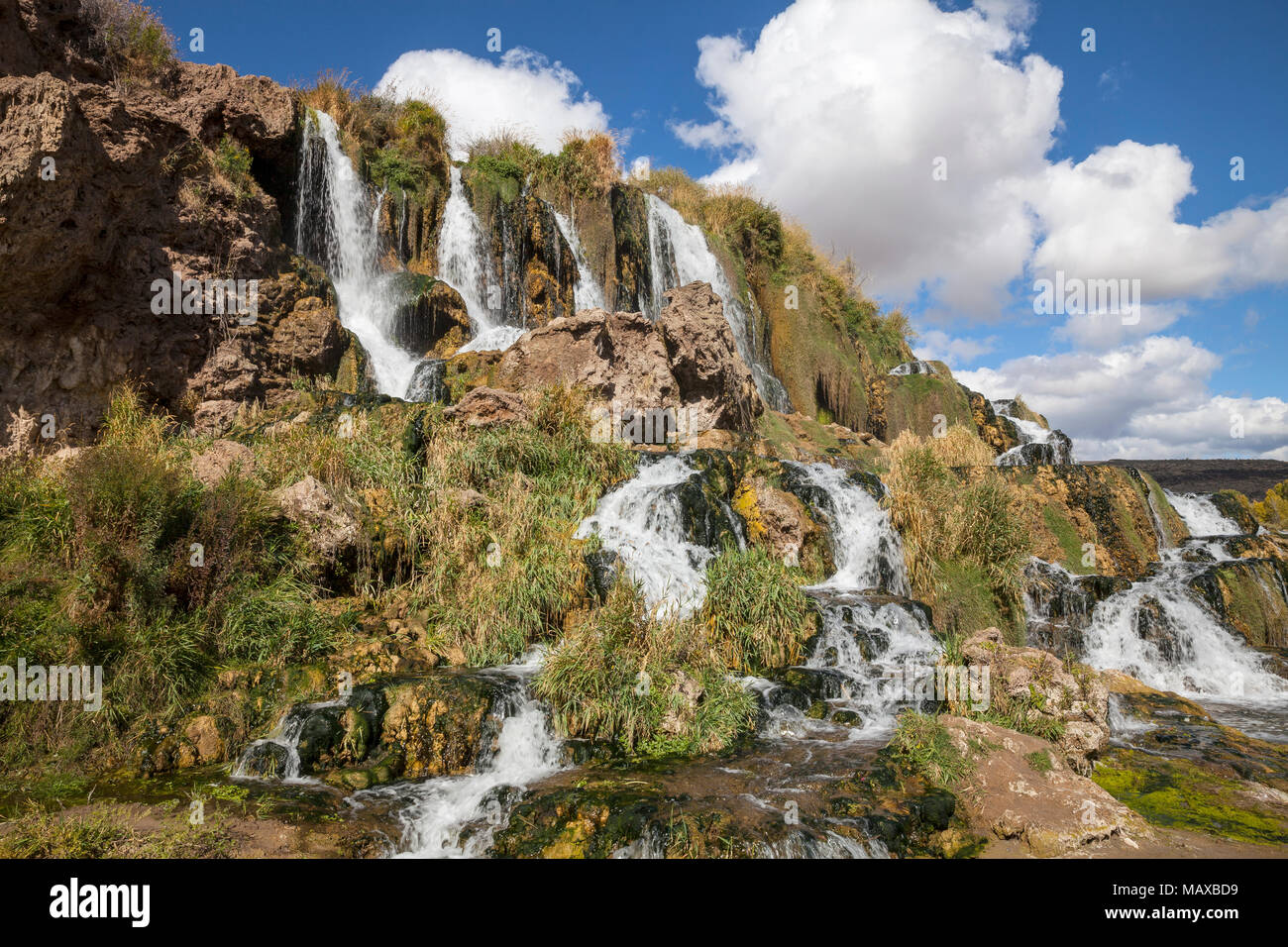 ID 00761-00 ... IDAHO - Falls Creek falls flowes in der Snake River entlang des Swan Valley. Stockfoto