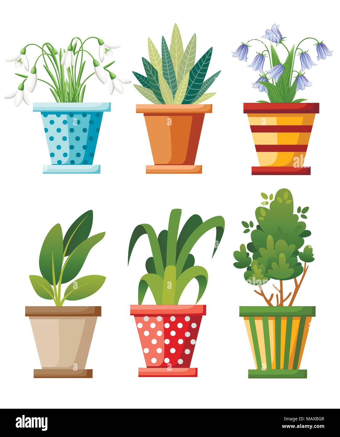 Indoor und Outdoor Landschaft garten Topfpflanzen. Vektor einrichten Der grüne Pflanze im Topf, Illustration von Blumentopf Bloom. Vector Illustration isoliert auf Stock Vektor