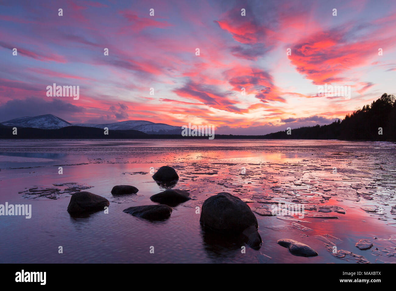 Loch Morlich bei Sonnenuntergang im Winter, Cairngorms National Park, Badenoch und Strathspey, Highland, Schottland, UK Stockfoto