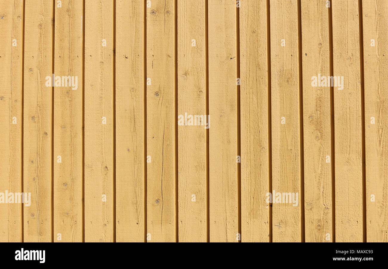 Gelb Holz- Wand mit vertikalen Linien. Schöne saubere symmetrische Oberflächenstruktur. Stockfoto