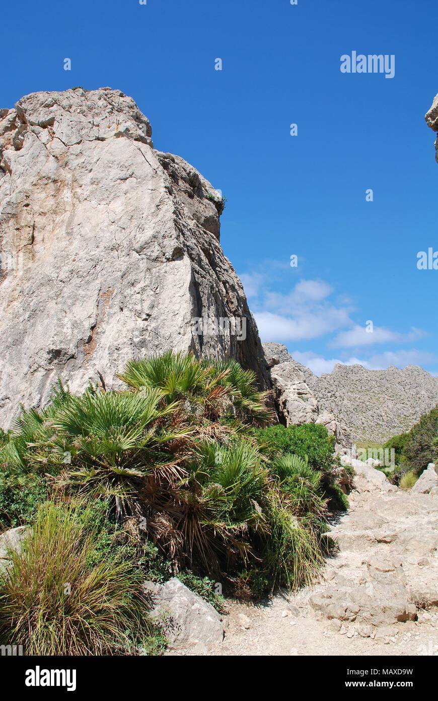 Riesige Felsbrocken Linie die Spur durch das boquer Tal in der Serra de Tramuntana Gebirge auf der spanischen Insel Mallorca. Stockfoto