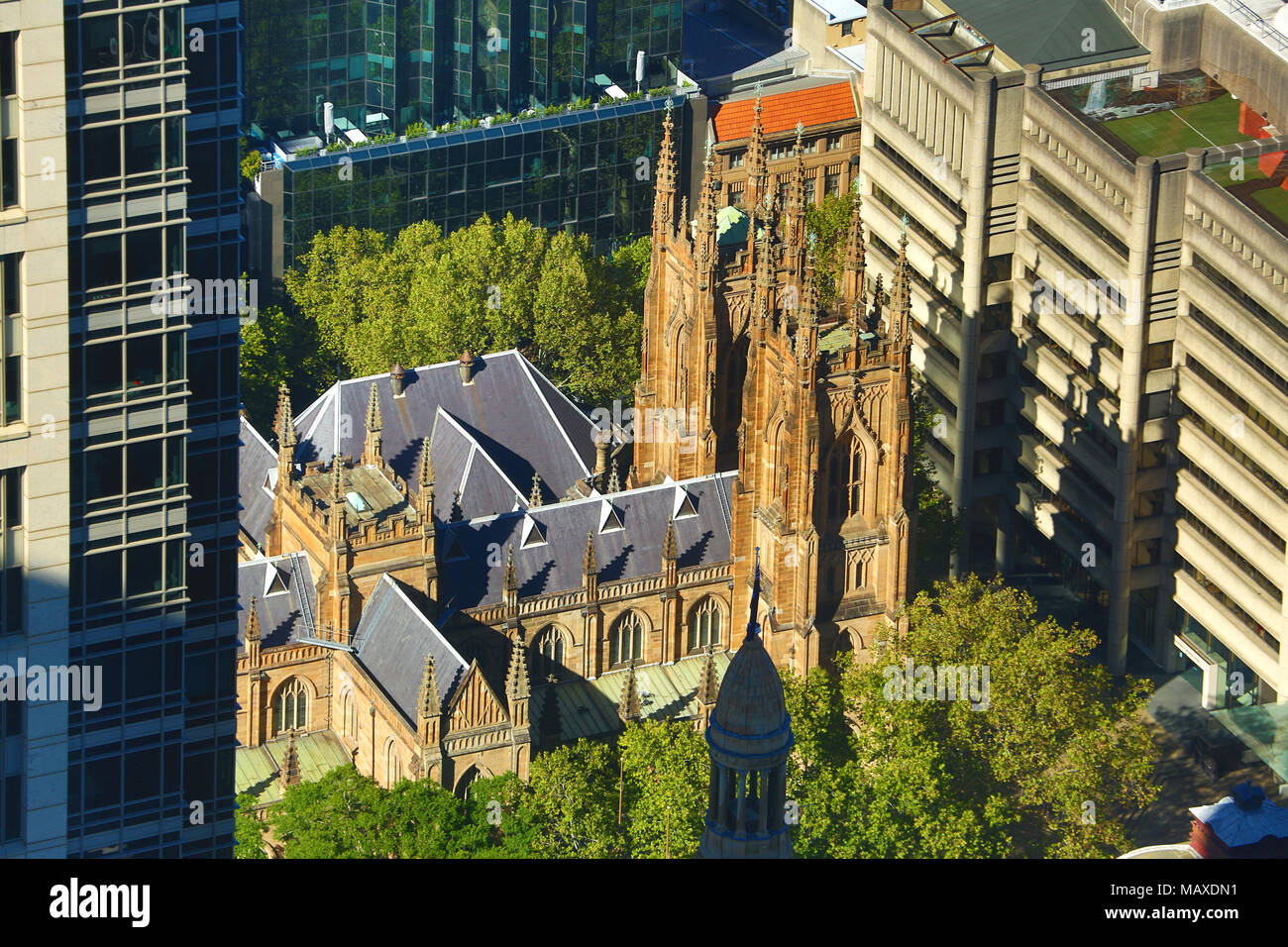 St Andrews Kathedrale, Sydney, New South Wales, Australien Stockfoto