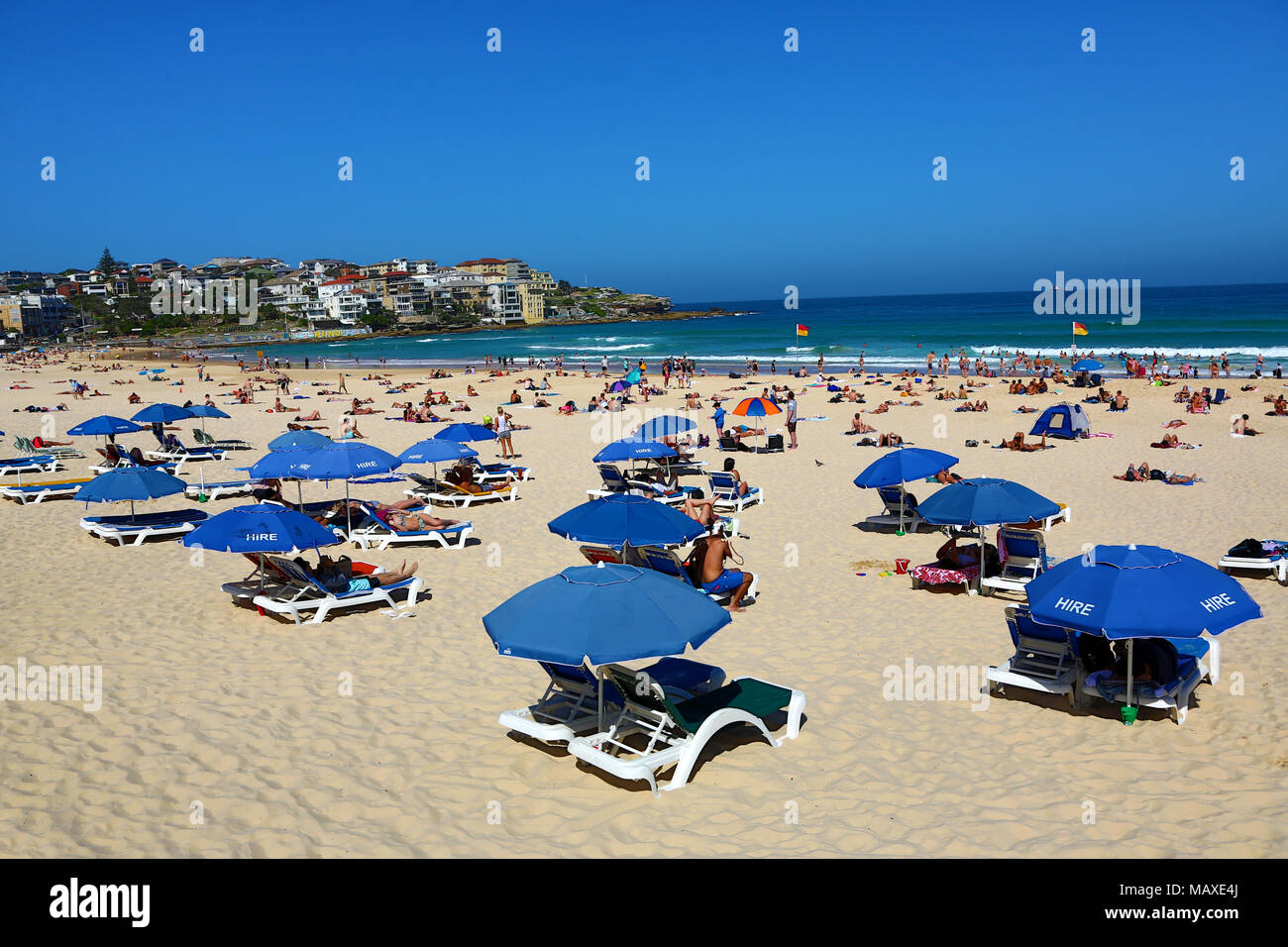 Sonnenschirme am Bondi Beach, Sydney, New South Wales, Australien Stockfoto
