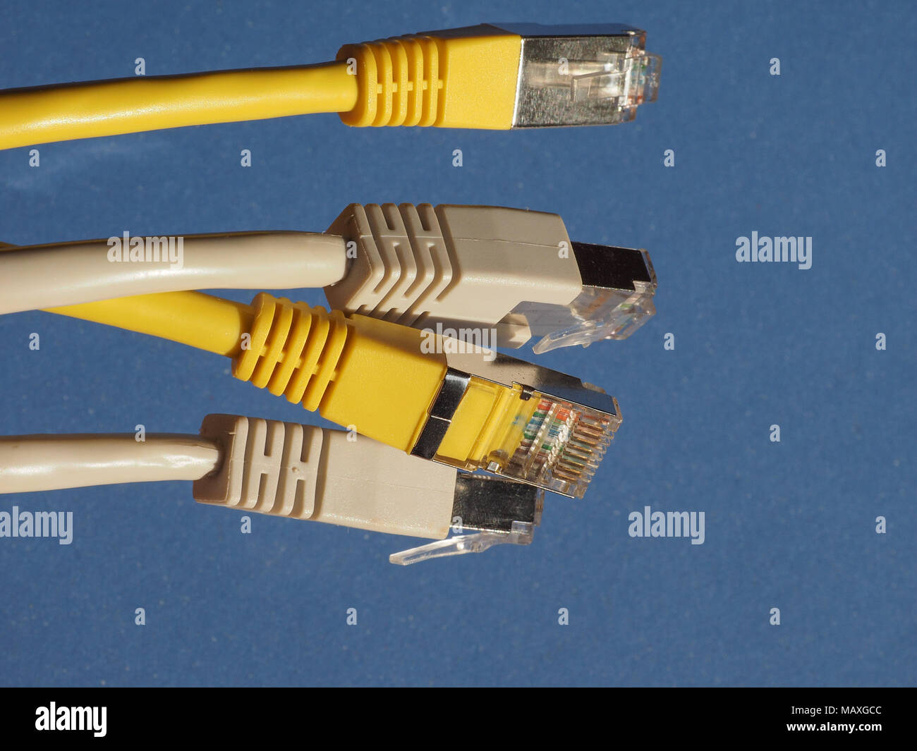 RJ45 Stecker für LAN Local Area Network Ethernet Verbindung ...