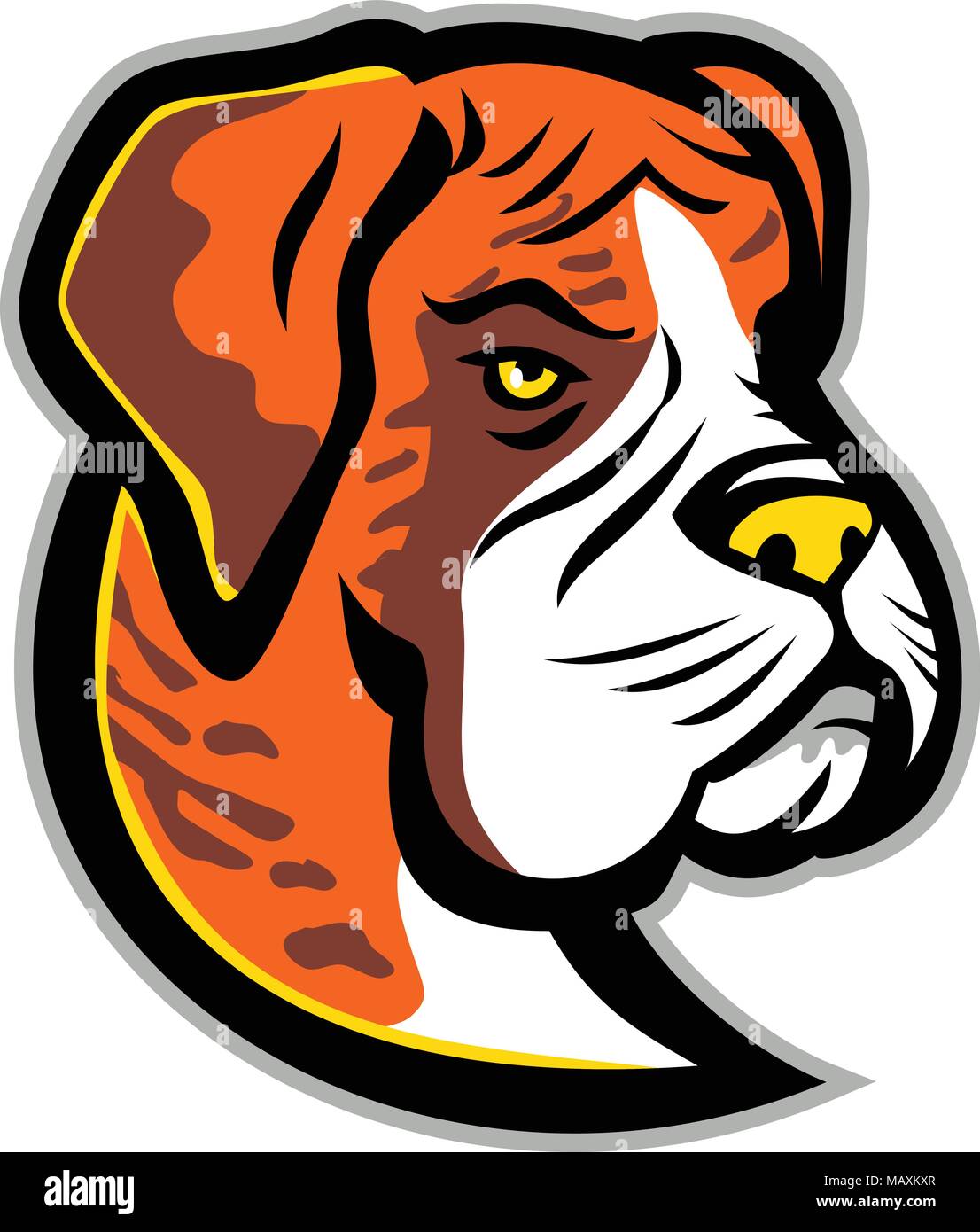 Maskottchen Symbol Abbildung: Leiter einer Boxer Hund, Deutscher Boxer oder Deutscher Boxer, ein mittelständisches, kurzhaarige Rasse der Hund von vorne gesehen auf isol Stock Vektor