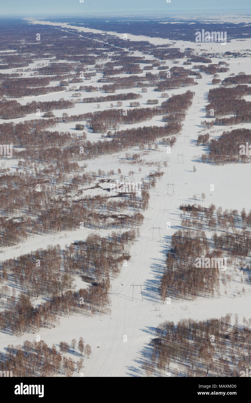 Blick von oben auf die Stromleitung im Wald in klaren Wintertag Stockfoto