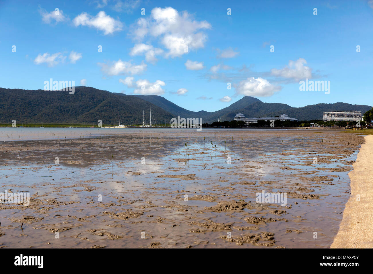 Blick auf Trinity Bay, Blick auf den Yachthafen von Cairns, Queensland, Australien Stockfoto