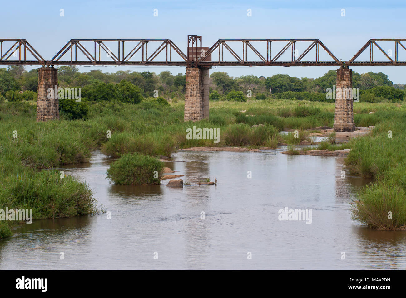 Kruger National Park, Mpumalanga, Südafrika Stockfoto