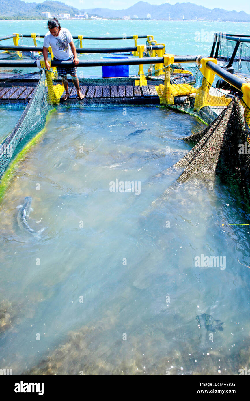 Schwimmende angeln Bauernhof in Langkawi, von Abdul Halim Zainab Abidin verwaltet. Langkawi, offiziell als Langkawi das Juwel von Kedah (Malaiisch: Langkawi P bekannt Stockfoto