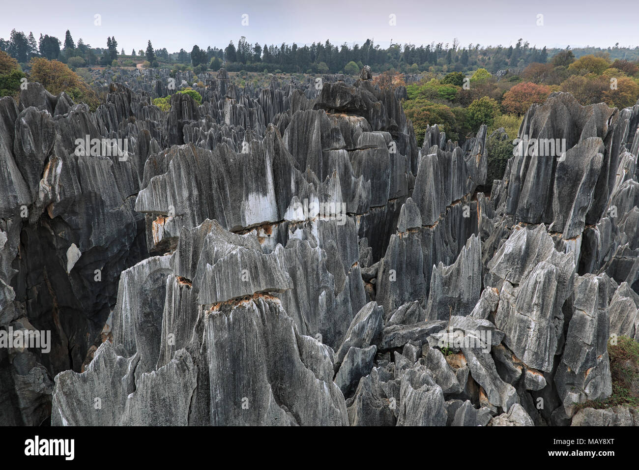 Panoramablick auf den Steinwald in Kunming, Provinz Yunnan, China auch als Shilin Stockfoto