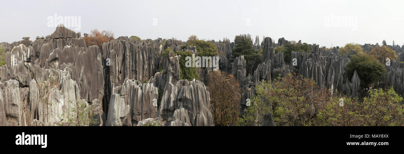 Panoramablick auf den Steinwald in Kunming, Provinz Yunnan, China auch als Shilin Stockfoto