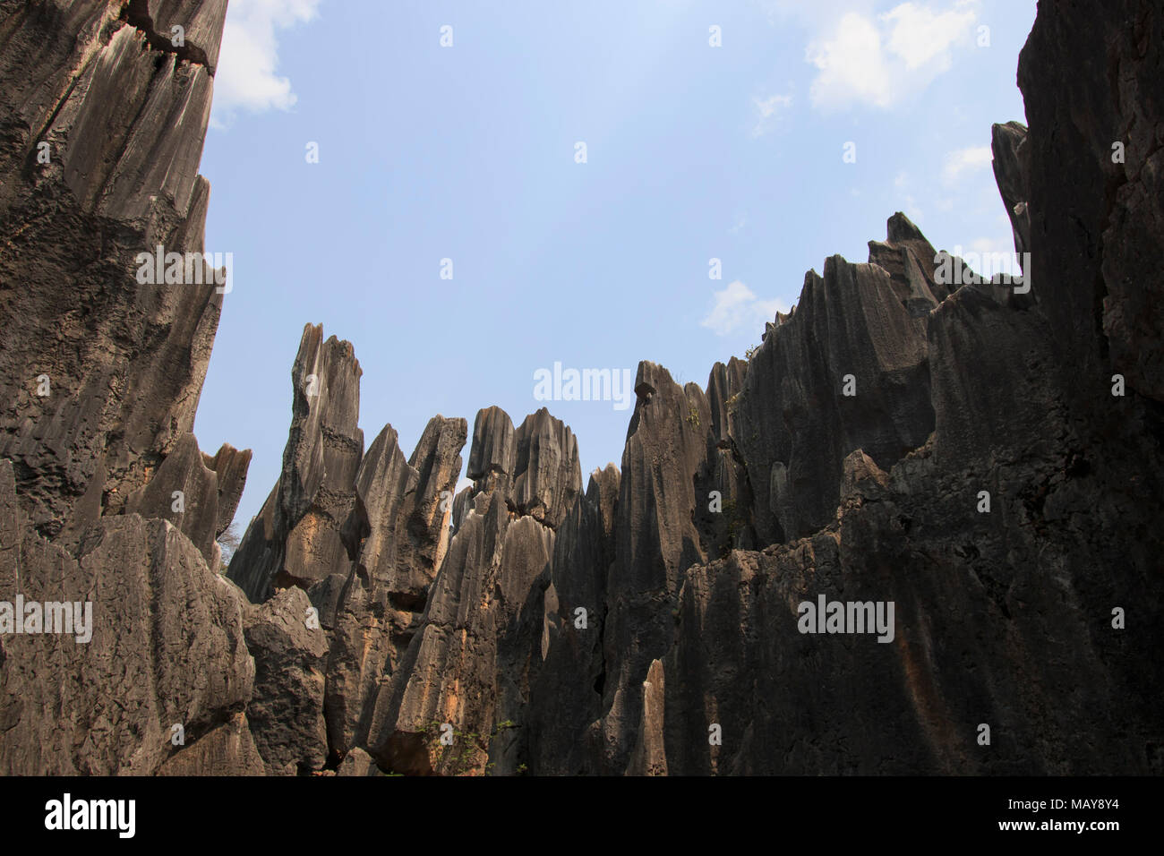 Steinwald in Kunming, Provinz Yunnan, China auch als Shilin Stockfoto