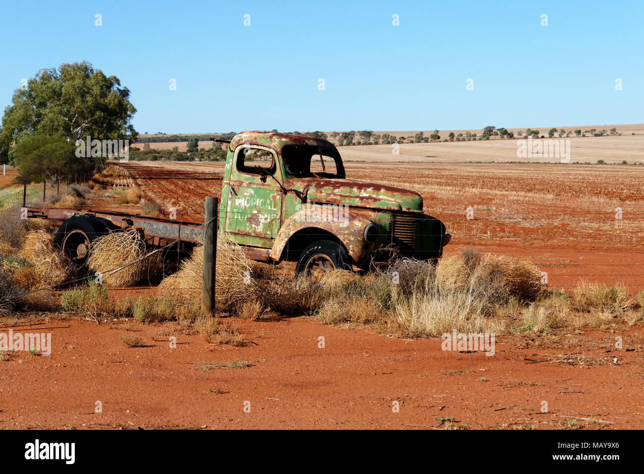 Alte antike Internationalen Lkw Wrack auf Ackerland, Wiedergeltingen, Western Australia Stockfoto