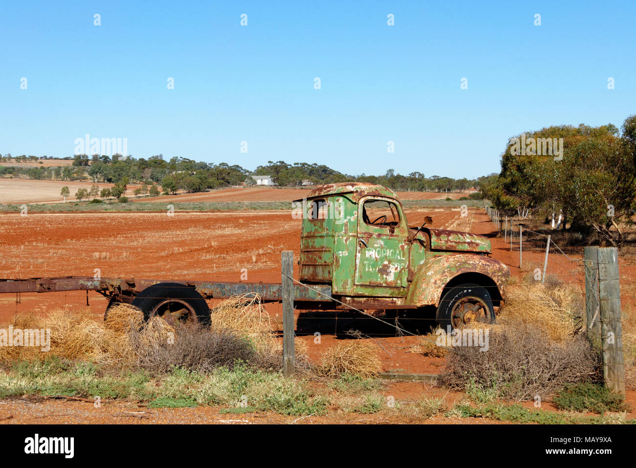 Alte antike Internationalen Lkw Wrack auf Ackerland, Wiedergeltingen, Western Australia Stockfoto
