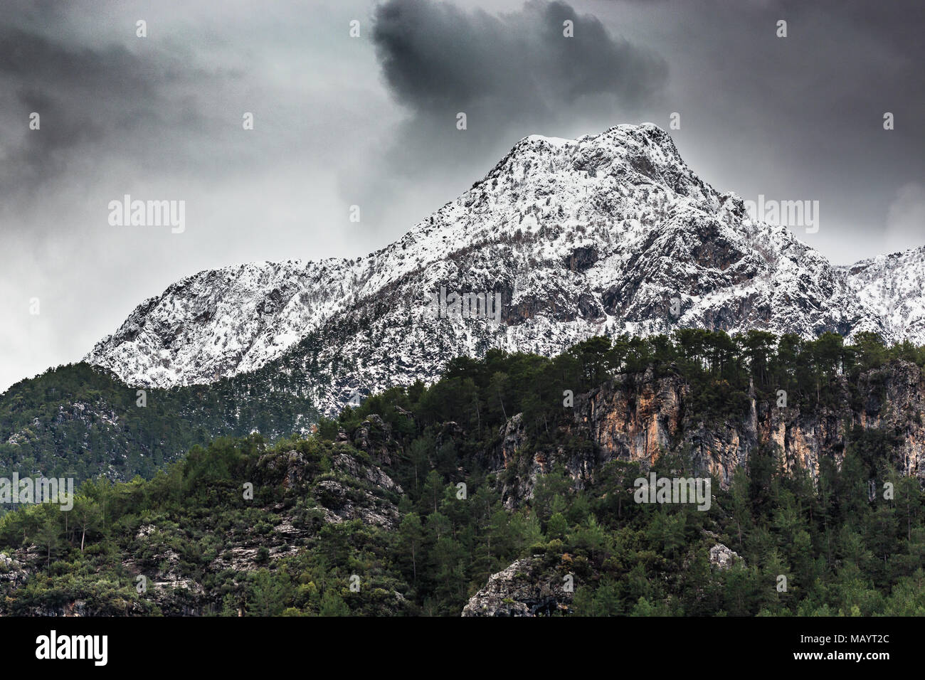 Horizontale Landschaft mit schneebedeckten Bergen umgeben von Pinien Wäldern Stockfoto