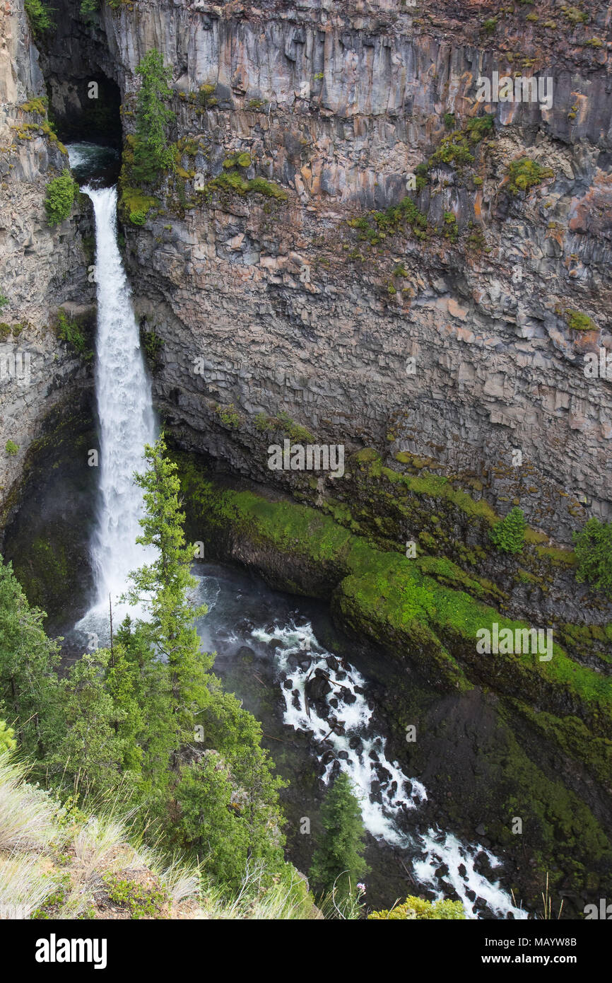 Spahats Falls ist ein beliebtes Reiseziel im Wells Gray Provincial Park Clearwater British Columbia Kanada Stockfoto