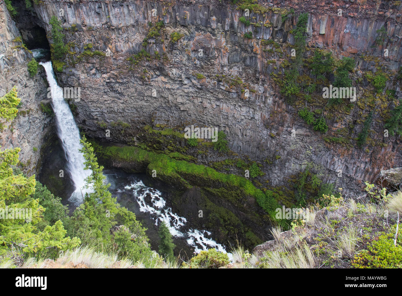 Spahats Falls ist ein beliebtes Reiseziel im Wells Gray Provincial Park Clearwater British Columbia Kanada Stockfoto