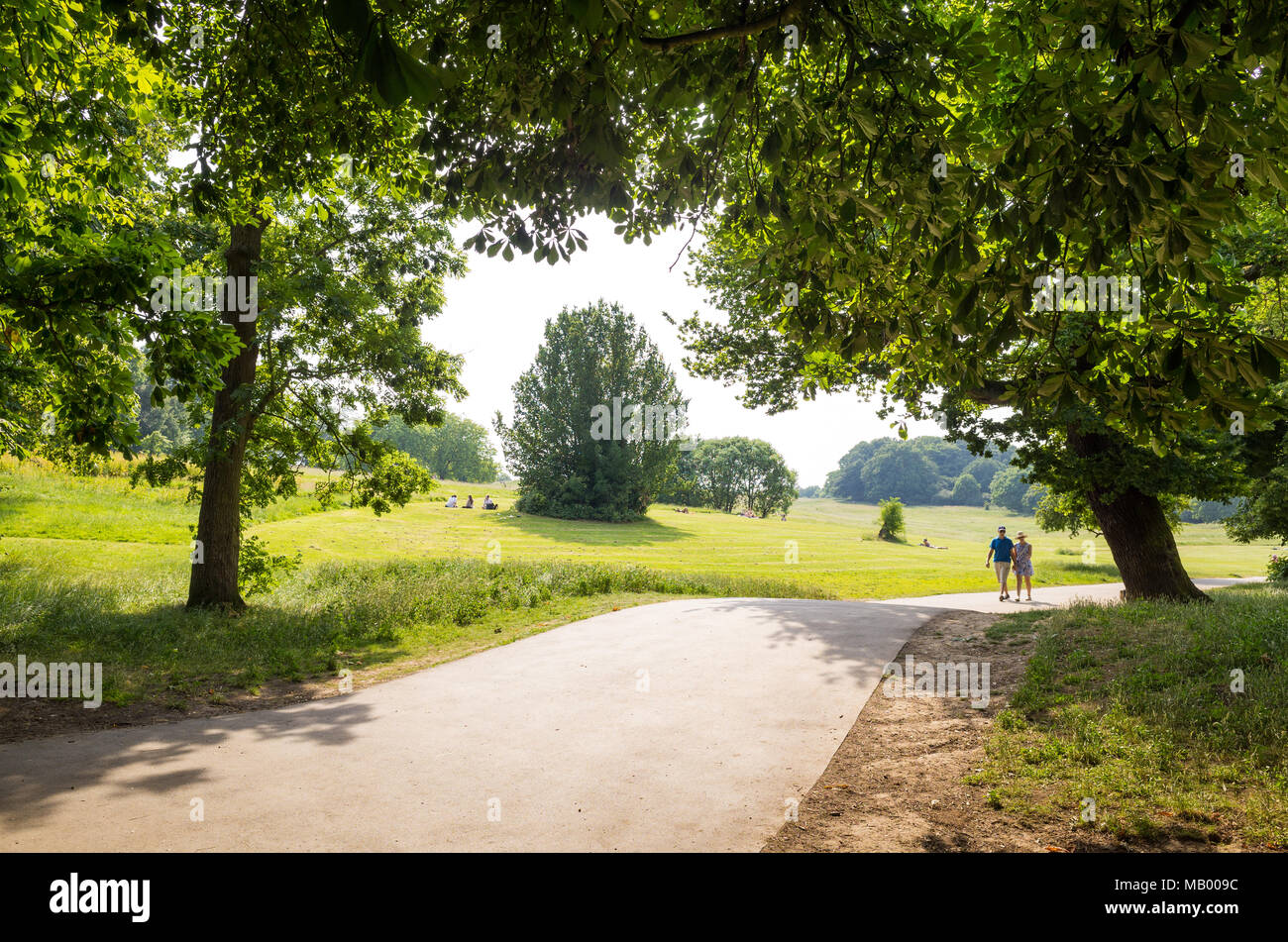 Hampstead Heath, London, UK Stockfoto