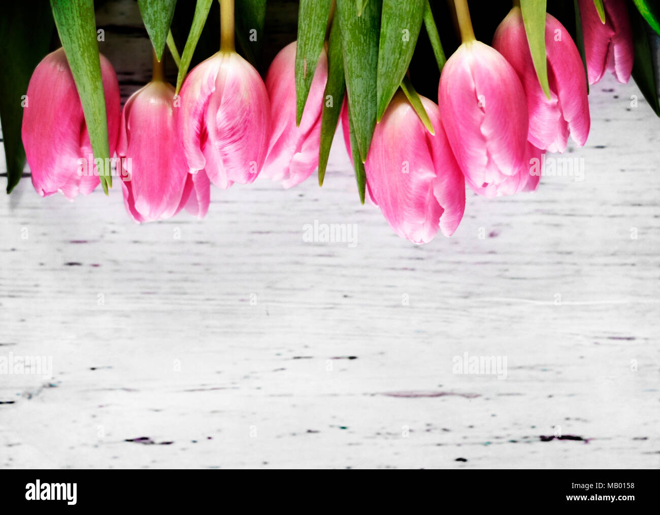 Rosa Tulpen oder Tulip Blumenstrauß auf einem Holztisch. Frühling Hintergrund mit frischen Blumenstrauß und Kopieren. Dekorative Sommer Hintergrund. Stockfoto