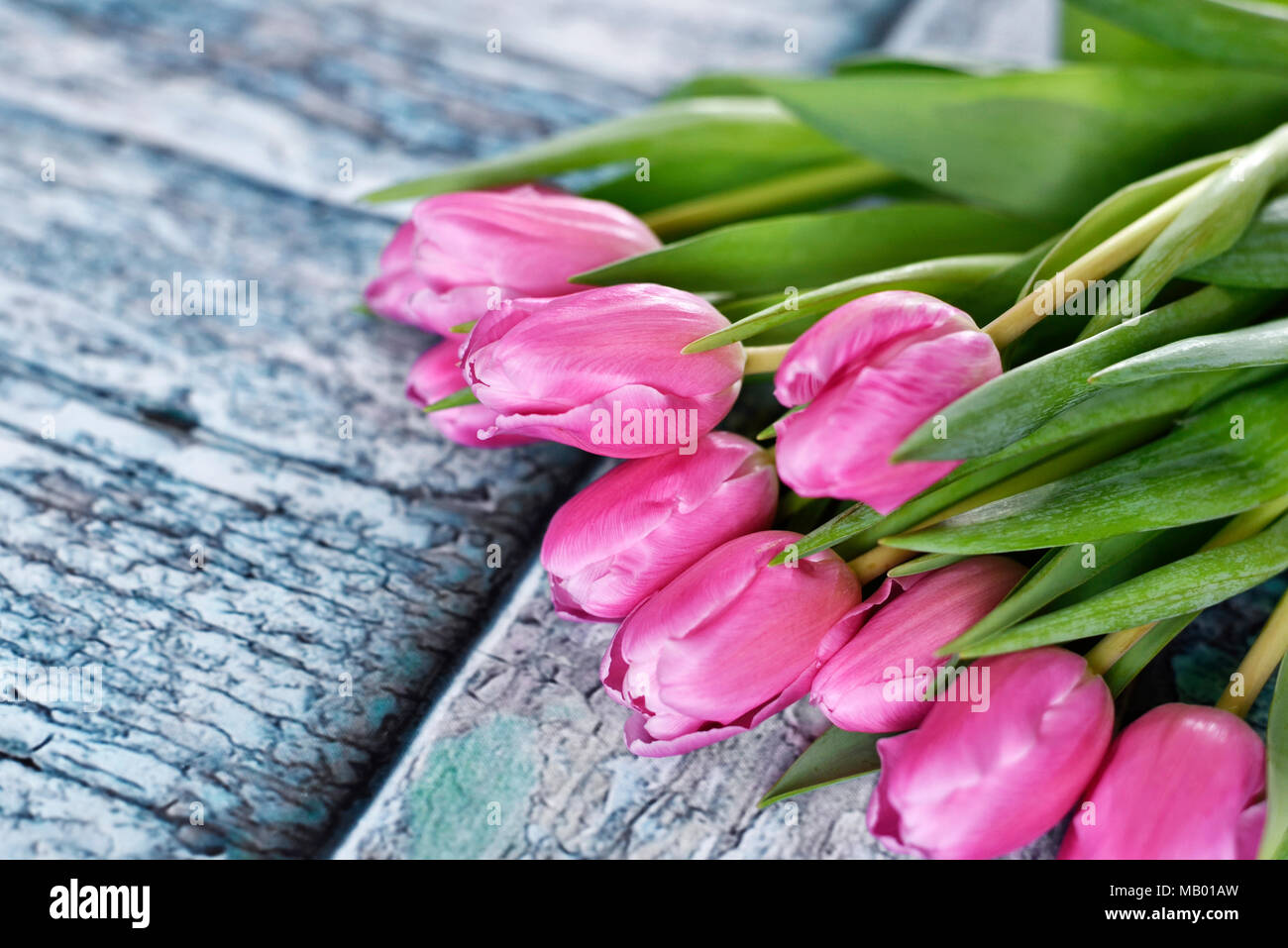 Rosa Tulpen oder Tulip Blumenstrauß auf einem Holztisch. Frühling Hintergrund mit frischen Blumenstrauß und Kopieren. Dekorative Sommer Hintergrund. Stockfoto