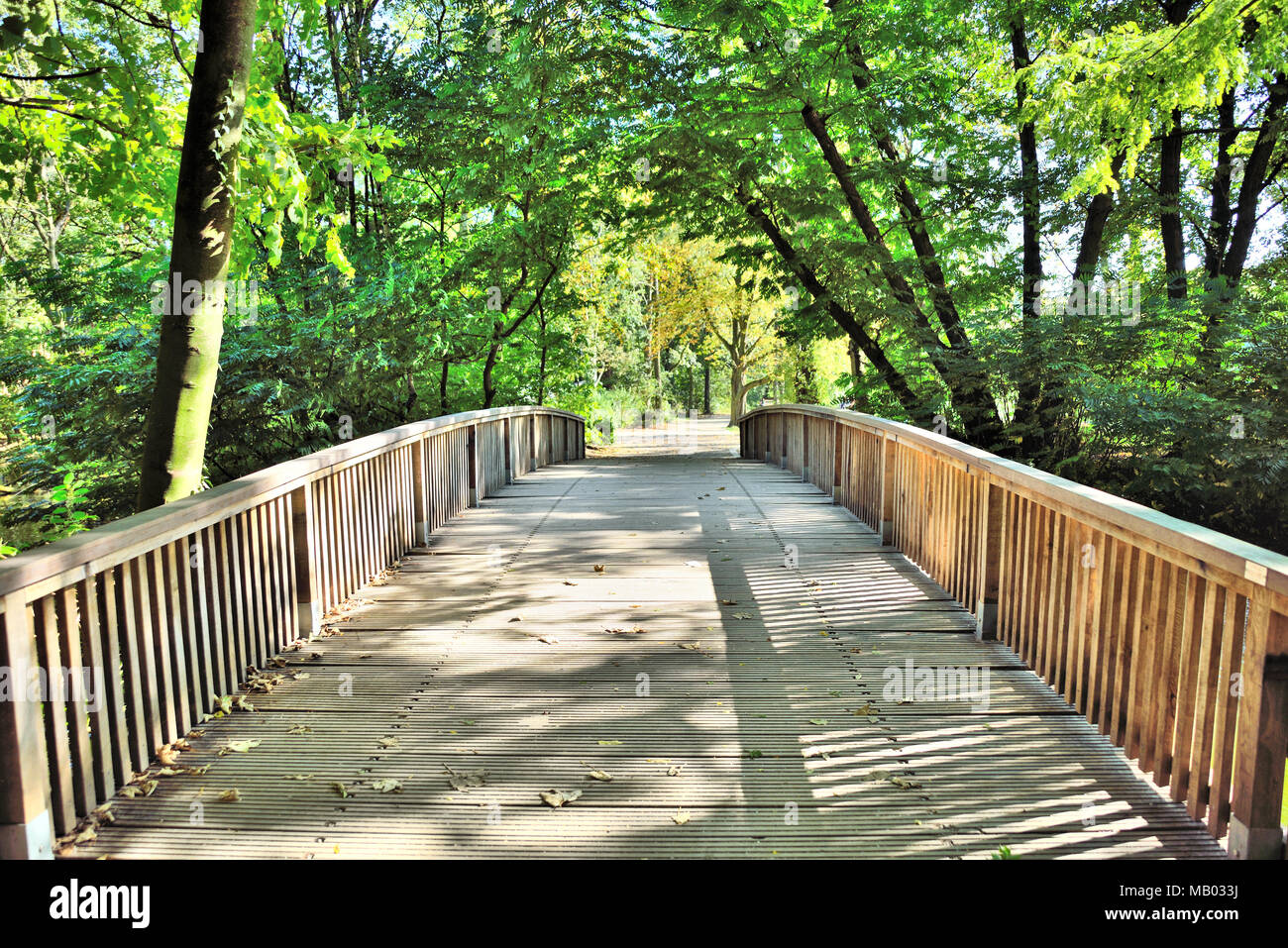 Idyllische Holzbrücke oder Wanderweg in den Wald. Hölzerne Brücke und idyllische Natur Szene. Stockfoto