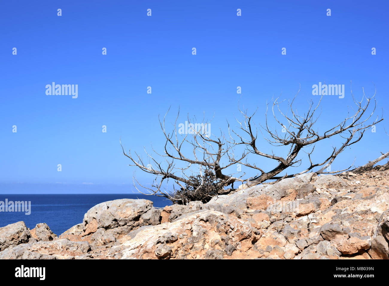 Felsige Küste und türkisblauem Wasser, Meer Szene oder Marine auf der Insel Ibiza. Stockfoto