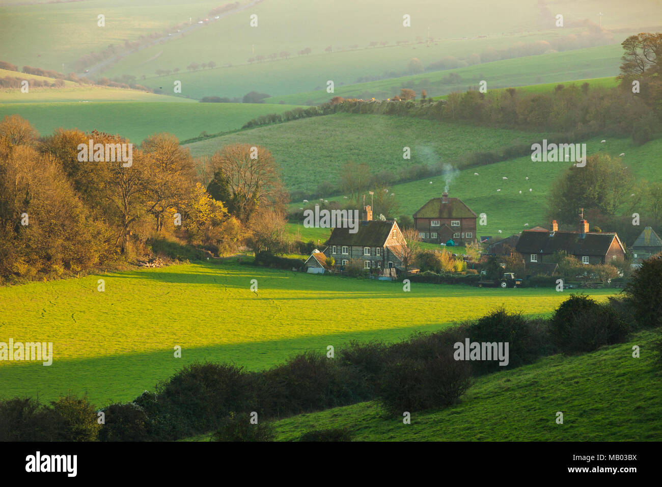 Herbst Sonnenuntergang in South Downs National Park. Stockfoto