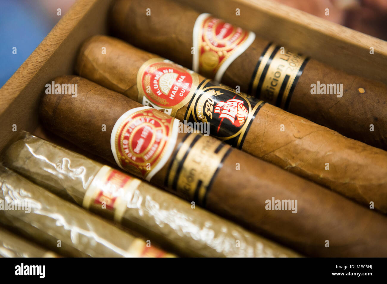 Qualität der Zigarren. Stockfoto