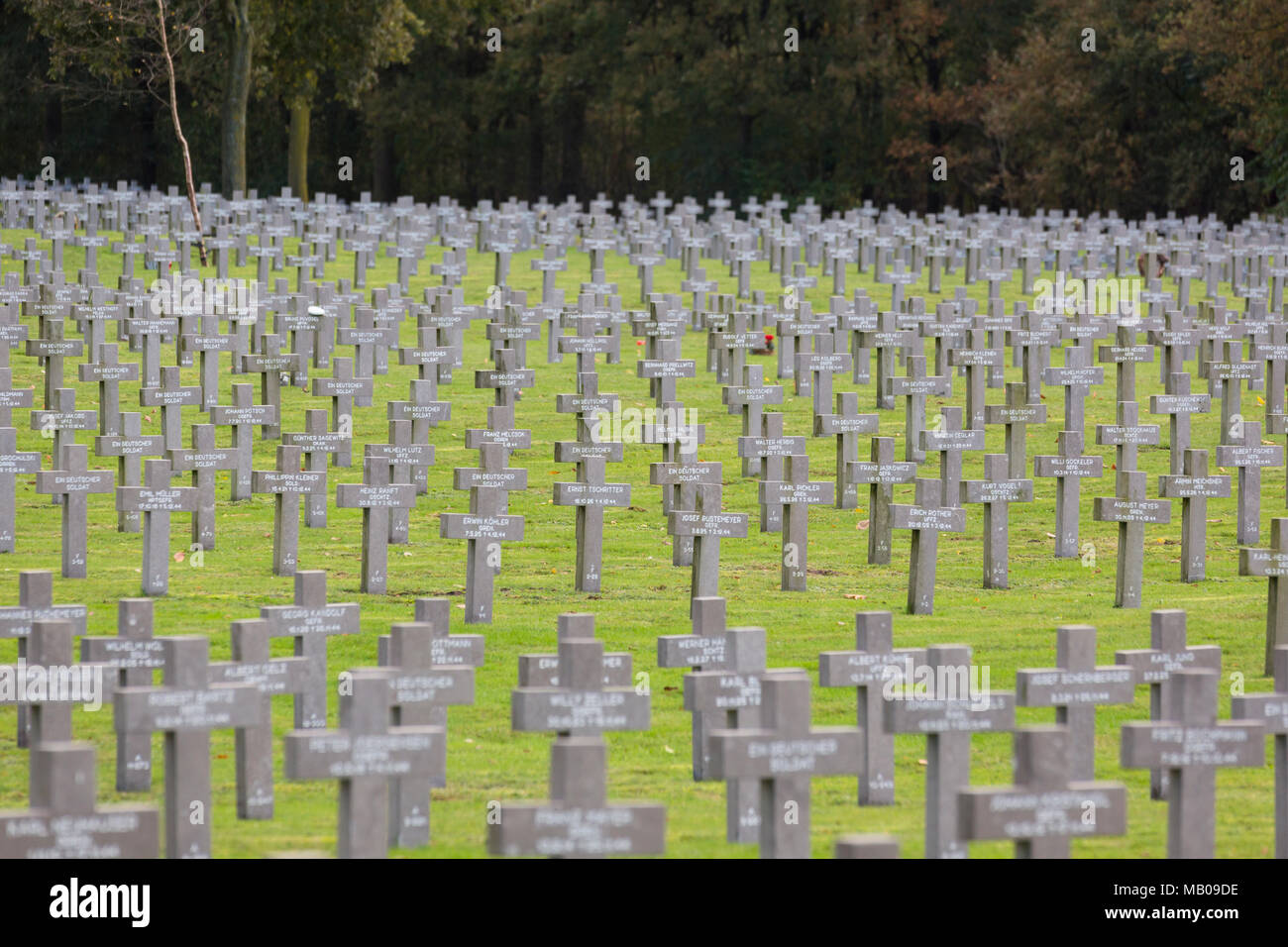 Grabsteine auf dem deutschen Soldatenfriedhof in Ysselsteyn, Niederlande Stockfoto