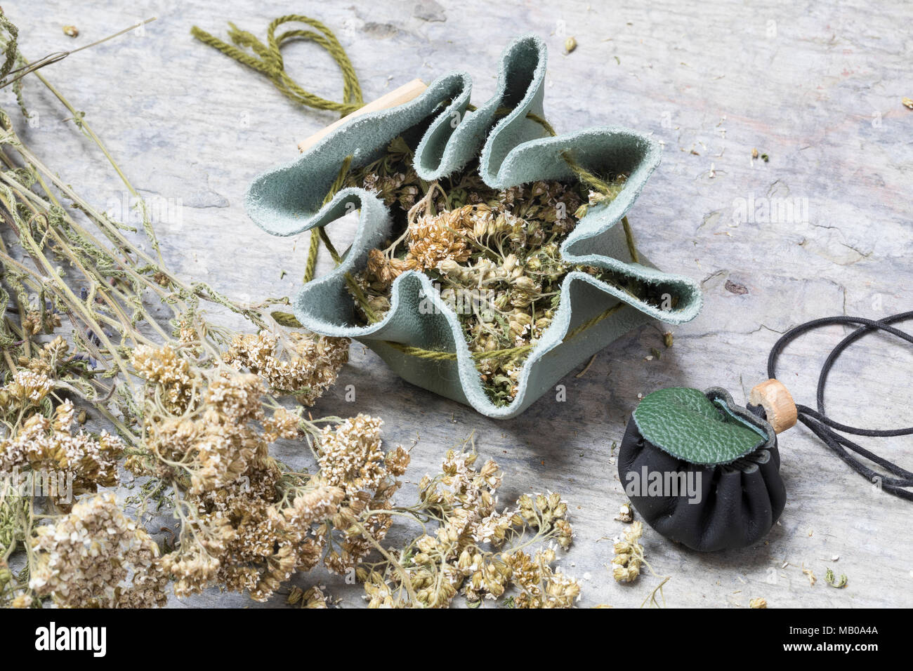 Schafgarbe im Medizinbeutel aus Leder, Lederbeutel, Beutel, Schafgarbe, Gewöhnliche Wiesen-Schafgarbe, Schafgabe, Achillea millefolium, Schafgarbe, Gemeinsame Stockfoto