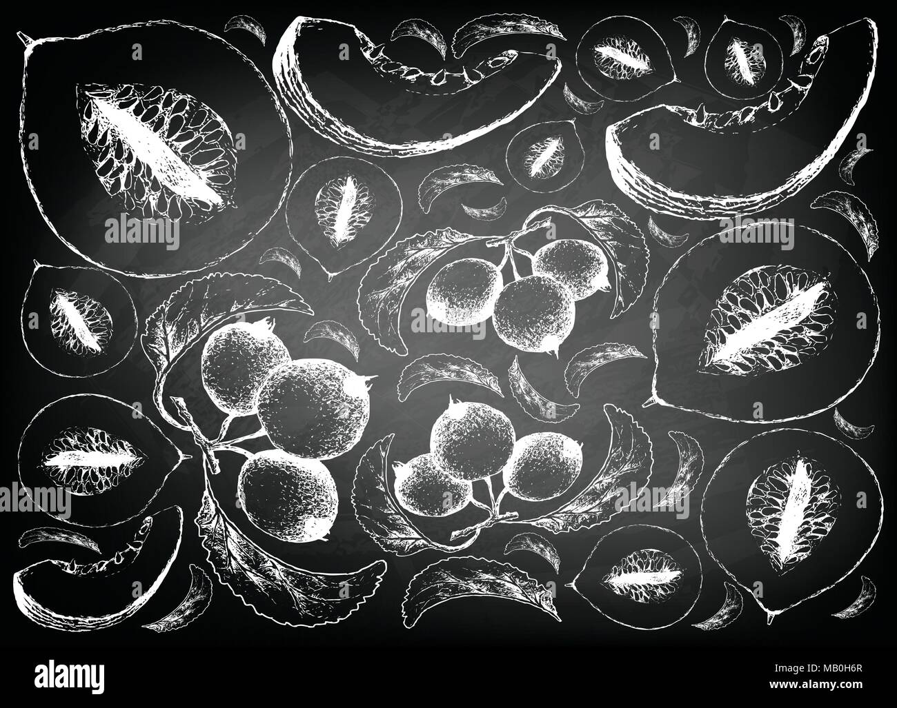 Exotische Früchte, Illustration Hintergrund von Hand gezeichnete Skizze von Casaba Melone und Crabapple oder Malus Früchte auf schwarzen Tafel. Stock Vektor