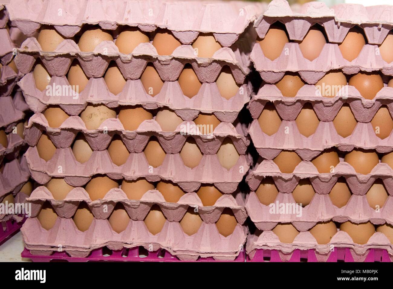 Eier in den Fächern Stockfoto