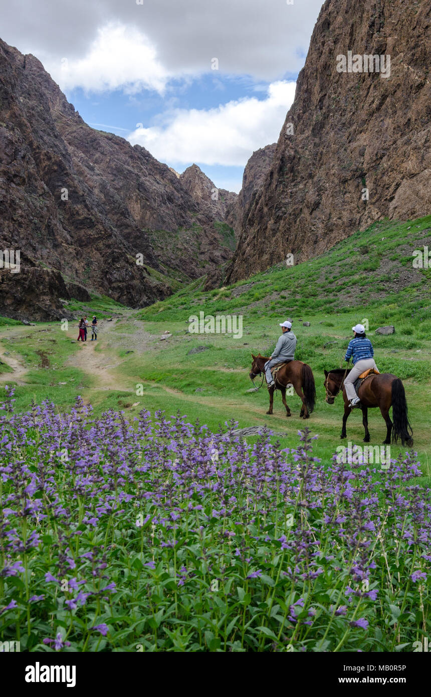 Horsetrekking in der Yolym Tal, Wüste Gobi, Mongolei Stockfoto