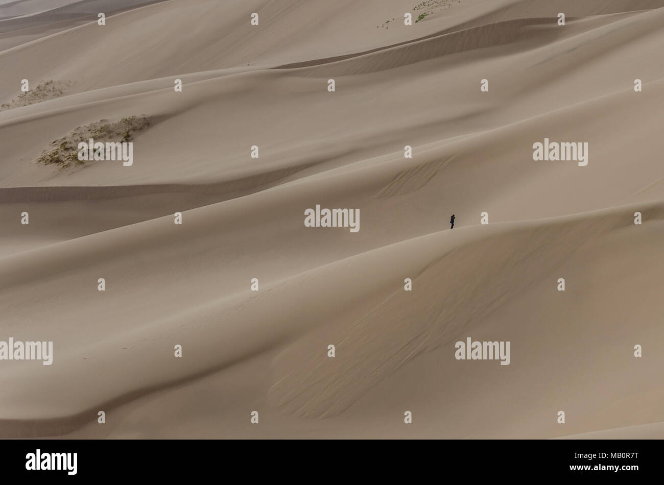 Besteigung des Khongoryn Els, Wüste Gobi, Mongolei Stockfoto