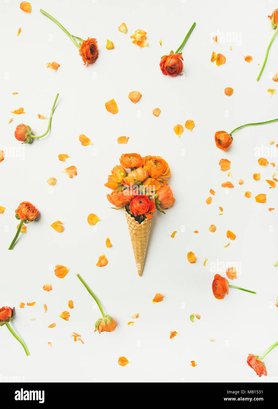 Flachbild-lay von Waffeln süß Kegel mit orange buttercup Blumen auf weißem Hintergrund, Ansicht von oben, vertikale Komposition. Im Frühling oder im Sommer zur Stimmung Konzept Stockfoto