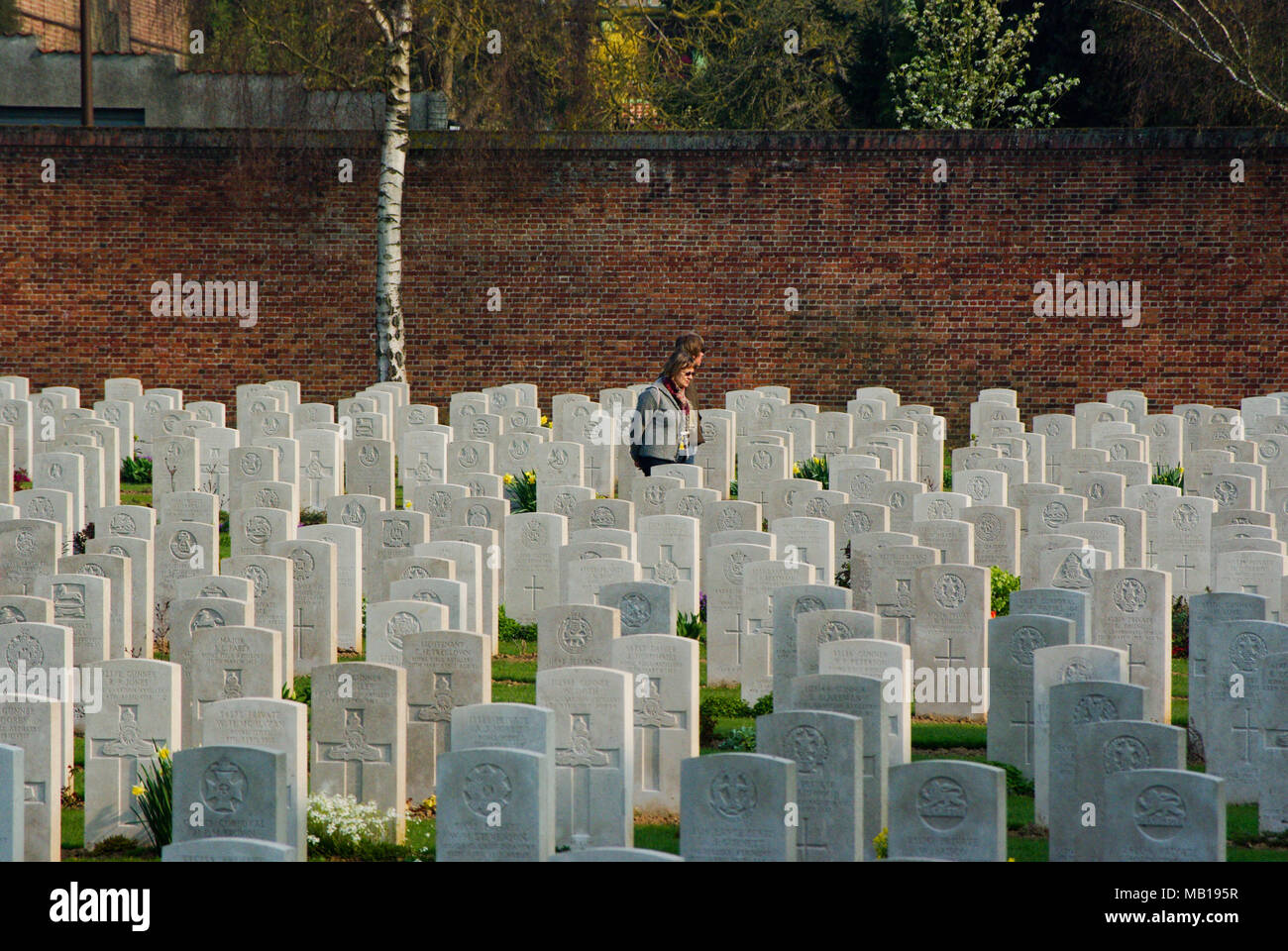 Einige der 2650 WW 1 Gräber in der Faubourg d'Amiens Britischer Friedhof, Arras, Frankreich; der Friedhof wurde desined von Sir Edwin Lutyens. Stockfoto