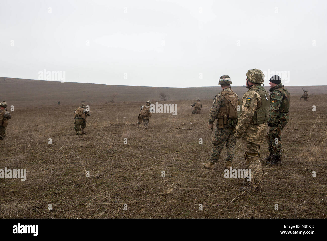 Die Partnerschaft Heiden, die in der Übung Platinum Eagle beobachten, wie US-Marines mit in der Nähe ausfindig machen und einen fiktiven Feind am Babadag, Rumänien, 24.02.16 zerstören. Schwarzes Meer die Drehkraft Teilnahme an Platinum Eagle ermöglicht die Schulung mit mehreren Partner Nationen und ist entscheidend im Umgang mit regionalen Fragen und Wahrung des Friedens in der Region Osteuropa. Stockfoto