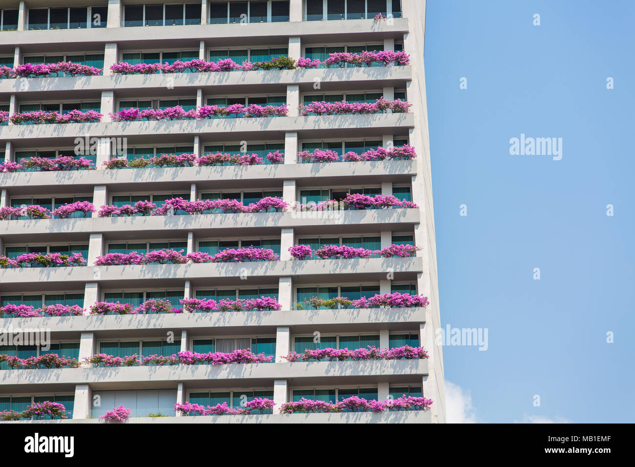 Rosa Bougainvilleas auf Marina Bay Sands Balkon und blauen Himmel auf der rechten Seite gepflanzt. Stockfoto