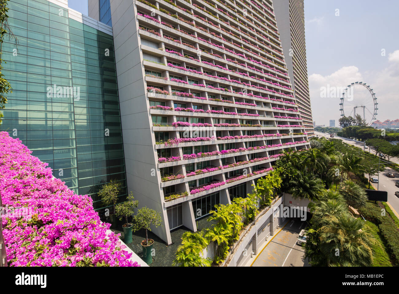 Blick auf die rosafarbenen Bougainvilleas auf dem Balkon Marina Bay Sands, Singapur, südostasien Stockfoto