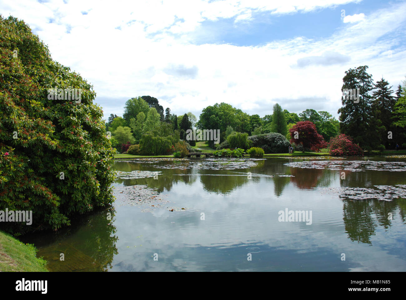 Neben einem malerischen See an der Sheffield Park und Garten Stockfoto