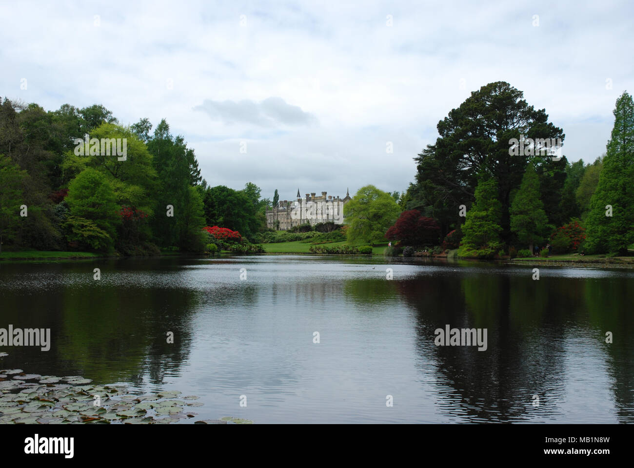 Sheffield Park Haus am See mit Rhododendren Stockfoto