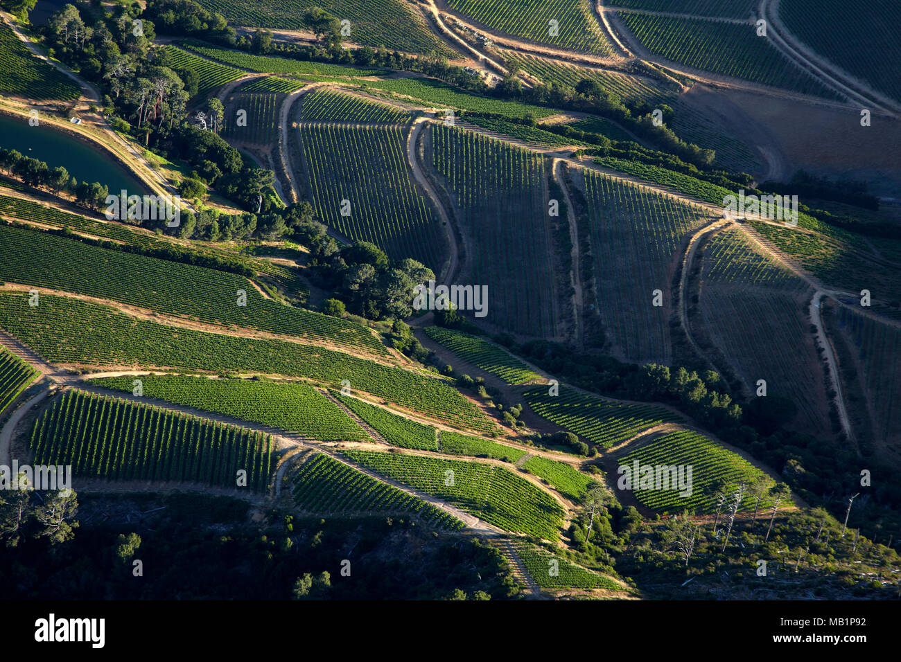 Weinberge, Constantia, Kapstadt, Südafrika - Antenne Stockfoto