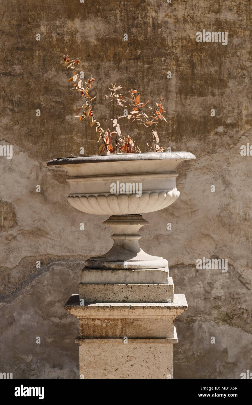 Eine alte Urne in den Gärten der Villa Borghese in Rom, Italien. Der geneigte obere Hälfte und Fast tote Pflanze machte eine interessante Komposition gegen die weat Stockfoto