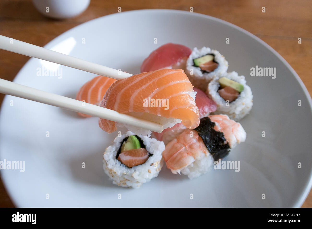 Frischer Lachs nigiri Sushi zwischen Stäbchen mit Uramaki, Garnelen Nigiri und Thunfisch nigiri im Hintergrund Stockfoto