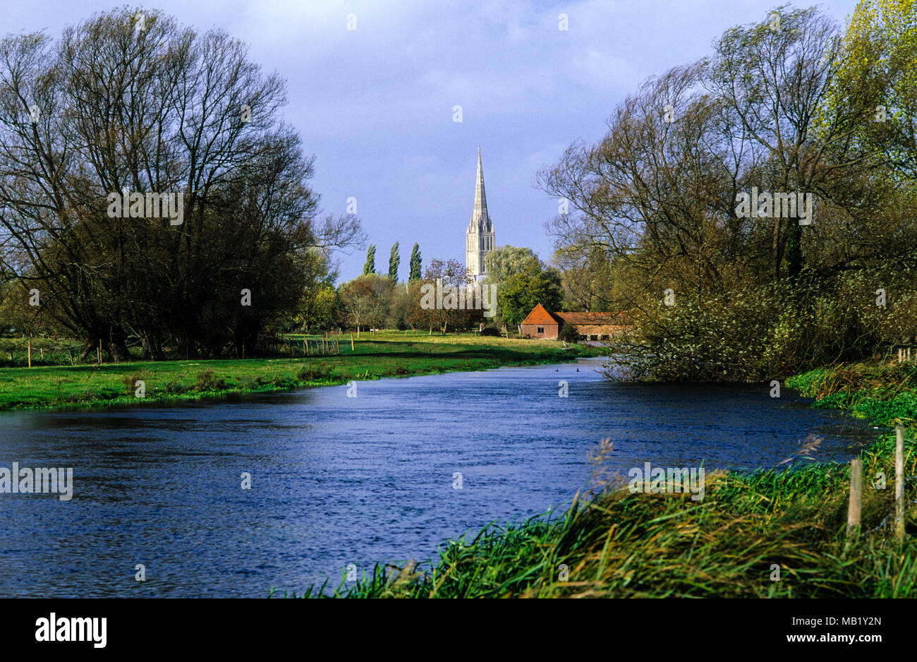 Wasser suchen, die Kathedrale von Salisbury, Salisbury, Fluss Avon, Wiltshire, England, UK, GB. Stockfoto