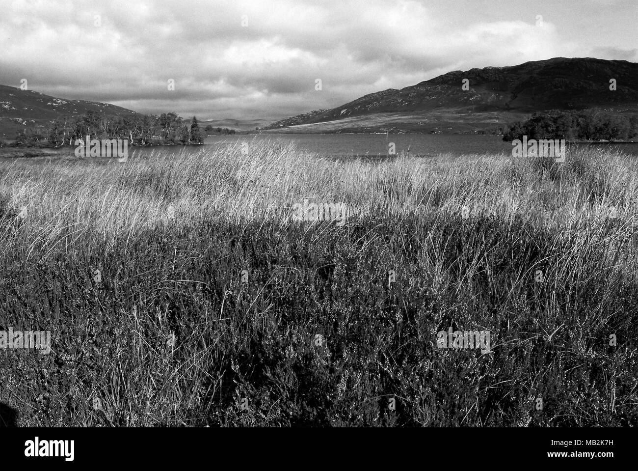 Loch Tarff Schottland Stockfoto