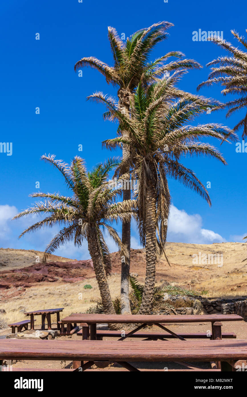 Palm Desert Oasis Abenteuer Wandern Stockfoto Palm Desert Oasis Abenteuer Wandern Stockfoto
