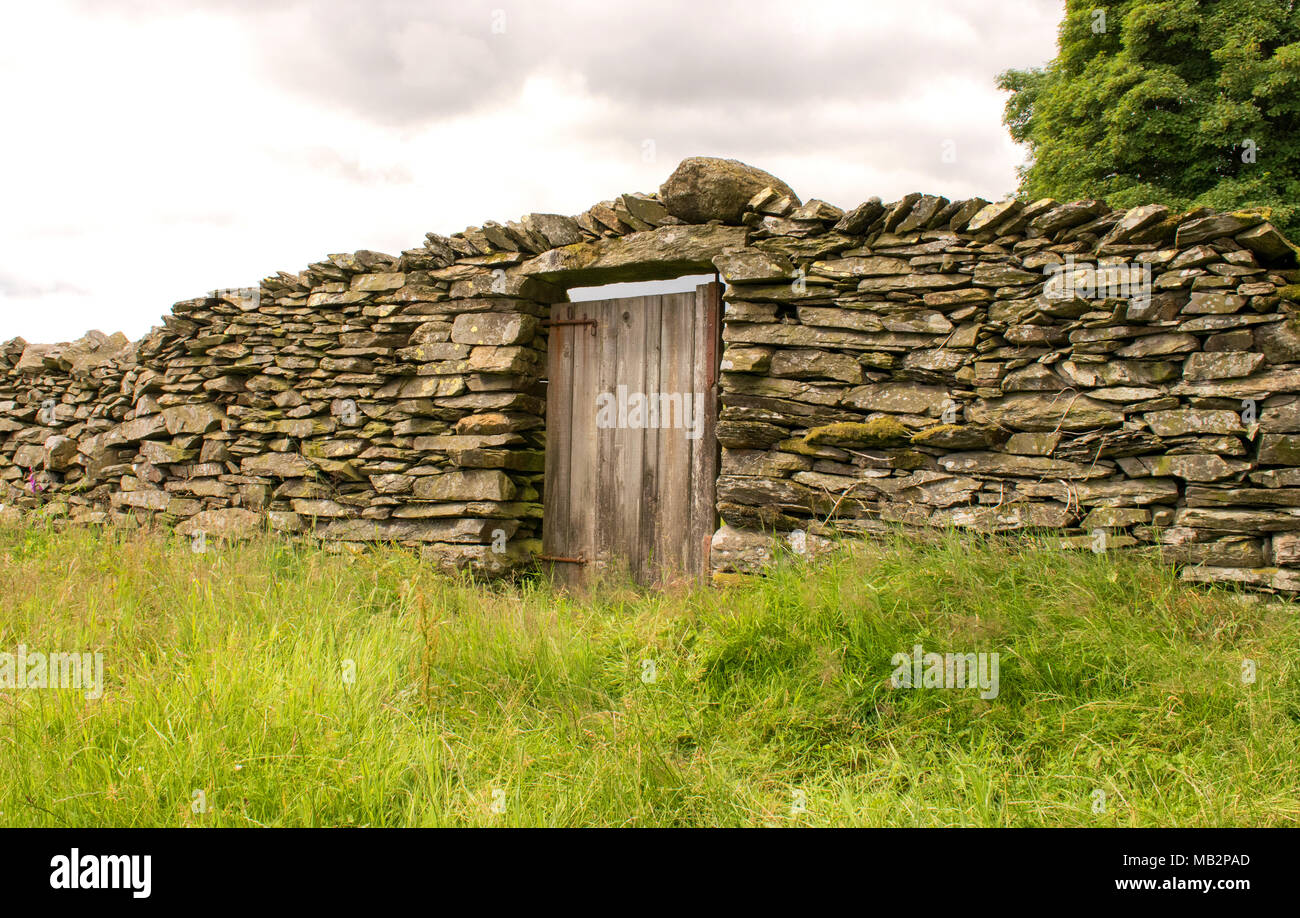 Hölzerne Tür in traditionellen Trockenmauer, Lake District, Cumbria, Großbritannien Stockfoto