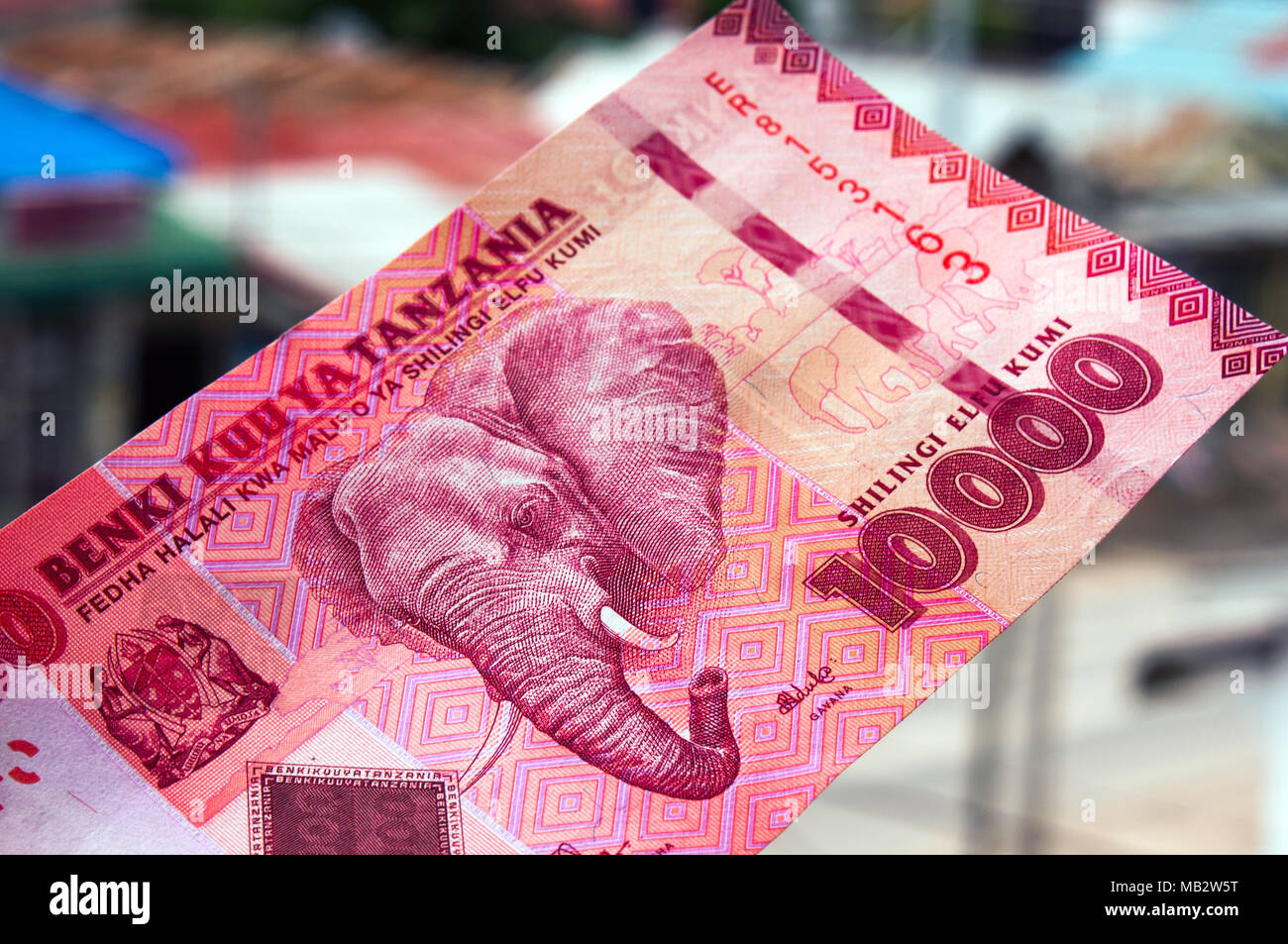 Die Tansanische 10.000 Schilling Banknote, Elefanten in freier Wildbahn auf Position in Dar es Salaam fotografiert. Stockfoto